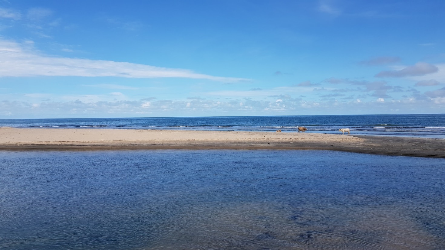 En dag på Gambias landsbygd: Äventyr och reflektion